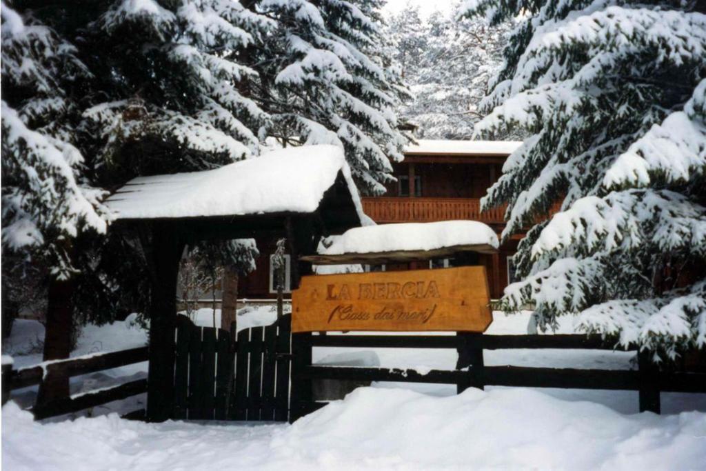 B&B Villa Dolomites Hut 圣维吉利奥 外观 照片